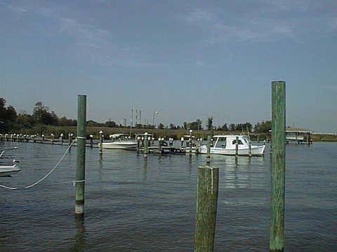 Some Boats at Benedict.jpg (30800 bytes)
