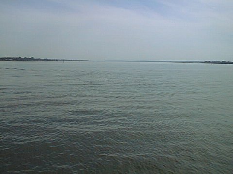 View South From Pier in Benedict.jpg (26838 bytes)